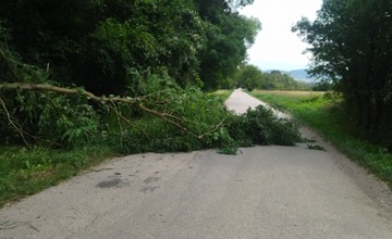 FOTO: Popadané stromy v okrese Myjava a Nové Mesto nad Váhom