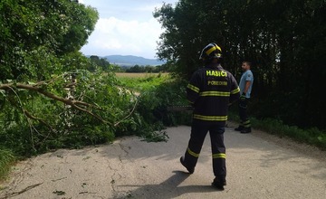 FOTO: Popadané stromy v okrese Myjava a Nové Mesto nad Váhom