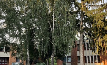 FOTO: Detské mestečko v Zlatovciach