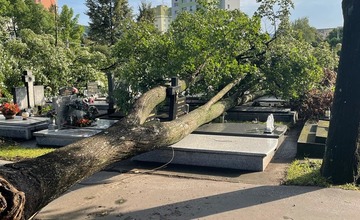 FOTO: Púchovský cintorín po nočnej kalamite