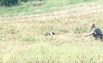 FOTO: Veľká pátracia akcia pri Trenčíne. Po šiestich dňoch sa stal doslova zázrak