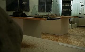 FOTO: Výstava Z pravekých morí horného Ponitria v Hornonitrianskom múzeu v Prievidzi