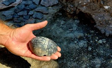 FOTO: Trenčiansky hrad odkrýva svoje tajomstvá. Prepíšu nové objavy archeológov jeho históriu?