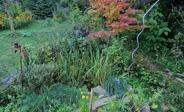 FOTO: Inšpirácia pre zelené aktivity Trenčianskej župy