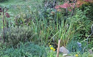 FOTO: Inšpirácia pre zelené aktivity Trenčianskej župy