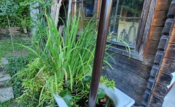 FOTO: Inšpirácia pre zelené aktivity Trenčianskej župy