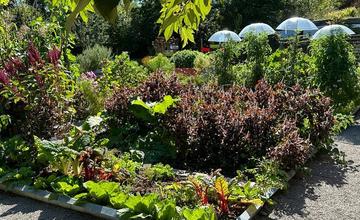 FOTO: Inšpirácia pre zelené aktivity Trenčianskej župy
