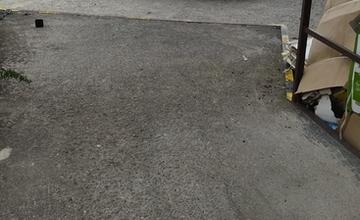 FOTO: Sršne a osy zamestnávajú dobrovoľných hasičov. S odstraňovaním hniezd bodavého hmyzu majú plné ruky práce