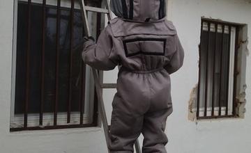 FOTO: Sršne a osy zamestnávajú dobrovoľných hasičov. S odstraňovaním hniezd bodavého hmyzu majú plné ruky práce