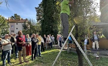 FOTO: Dubničania predviedli svoje záhradkárske skvosty