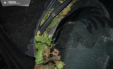 FOTO: Polícia našla pri Brezovej pod Bradlom auto zaparkované v kríkoch