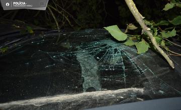 FOTO: Polícia našla pri Brezovej pod Bradlom auto zaparkované v kríkoch