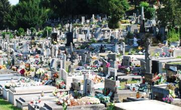 FOTO: Trenčianske cintoríny sú otvorené dlhšie. Mesto apeluje na ich návštevníkov, aby mysleli ekologicky