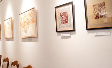 FOTO: V kaštieli pri Ilave otvárali výstavu Ruky svetla