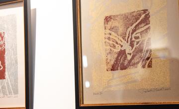 FOTO: V kaštieli pri Ilave otvárali výstavu Ruky svetla