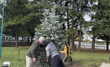 FOTO: S neodmysliteľnou súčasťou Vianoc si už v tomto meste na Považí nebudú musieť lámať hlavu