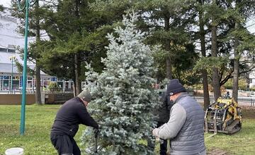 FOTO: S neodmysliteľnou súčasťou Vianoc si už v tomto meste na Považí nebudú musieť lámať hlavu