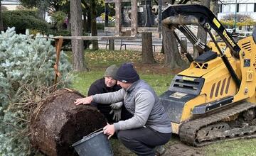 FOTO: S neodmysliteľnou súčasťou Vianoc si už v tomto meste na Považí nebudú musieť lámať hlavu
