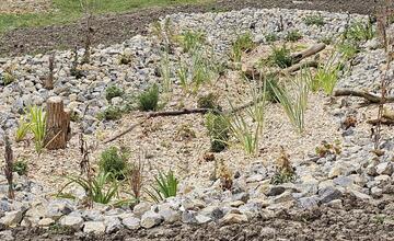 FOTO: Žiaci z Púchova vytvorili dažďovú záhradu