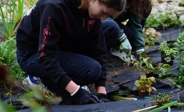 FOTO: Žiaci z Púchova vytvorili dažďovú záhradu