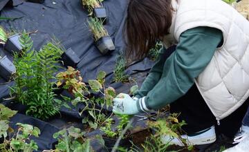 FOTO: Žiaci z Púchova vytvorili dažďovú záhradu