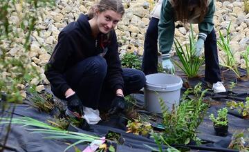 FOTO: Žiaci z Púchova vytvorili dažďovú záhradu