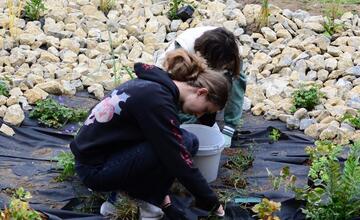 FOTO: Žiaci z Púchova vytvorili dažďovú záhradu