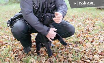 FOTO: Nový pomocník v radoch novomestskej polície