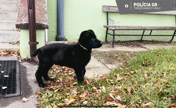 FOTO: Nový pomocník v radoch novomestskej polície