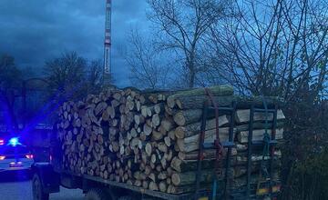 FOTO: Spíliť "pol lesa" sa päťdesiatnikovi nevyplatilo. Hrozí mu, že strávi za to až 2 roky za mrežami