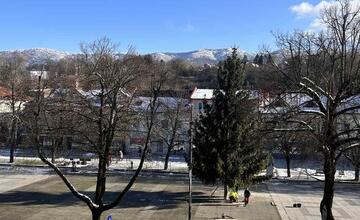 FOTO: Strastiplná životná púť tohtoročného vianočného stromu v Handlovej