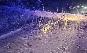 FOTO: Spadnutý strom uväznil niekoľko ľudí na ceste z Veľkej Javoriny. Vyslobodiť ich museli hasiči