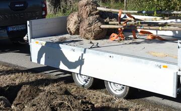 FOTO: Nozdrkovský chodník lemuje nové stromoradie. Samospráva do neho investovala tisíce eur