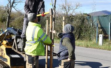 FOTO: Nozdrkovský chodník lemuje nové stromoradie. Samospráva do neho investovala tisíce eur