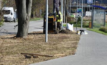 FOTO: Nozdrkovský chodník lemuje nové stromoradie. Samospráva do neho investovala tisíce eur