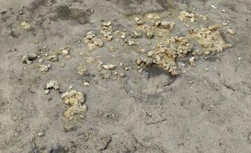 FOTO: Neuveriteľná drzosť. Do kultúrnej pamiatky nacválal na koňovi a zanechal tam po sebe hotovú spúšť