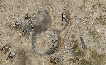 FOTO: Neuveriteľná drzosť. Do kultúrnej pamiatky nacválal na koňovi a zanechal tam po sebe hotovú spúšť