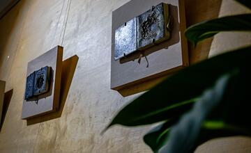 FOTO: Výstava Ukryté v knihách od výtvarníčky Isobelle Ouzman