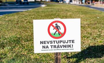 FOTO: V Novom Meste nad Váhom vysadili 33-tisíc cibuliek kvetov