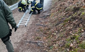 FOTO: Na Čachtickom hrade zasahovali hasiči aj Stráž prírody, hradný maskot zostal uväznený vysoko nad zemou
