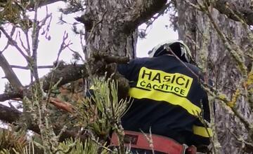 FOTO: Na Čachtickom hrade zasahovali hasiči aj Stráž prírody, hradný maskot zostal uväznený vysoko nad zemou