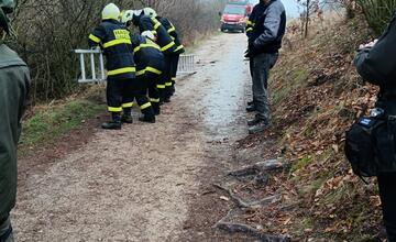 FOTO: Na Čachtickom hrade zasahovali hasiči aj Stráž prírody, hradný maskot zostal uväznený vysoko nad zemou