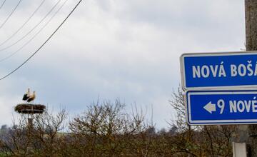 FOTO: Do Bošáce sa už vrátil Oliver. Miestni obyvatelia z neho nevedia oči spustiť