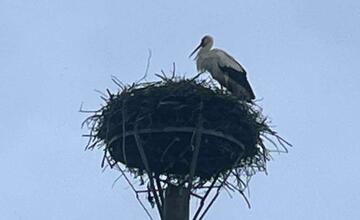 FOTO: Do Bošáce sa už vrátil Oliver. Miestni obyvatelia z neho nevedia oči spustiť