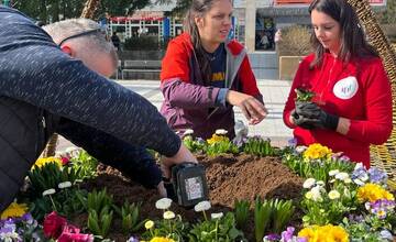 FOTO: Pozrite sa na tú nádheru. Mesto na Považí sa takto pripravilo na blížiace sa sviatky
