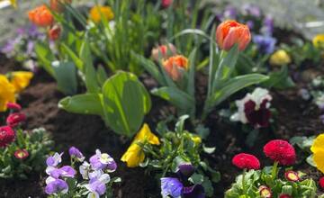 FOTO: Pozrite sa na tú nádheru. Mesto na Považí sa takto pripravilo na blížiace sa sviatky