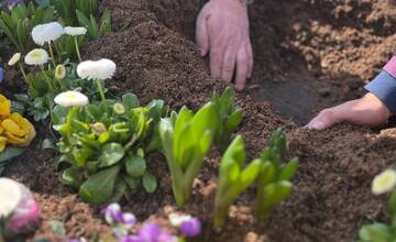 FOTO: Pozrite sa na tú nádheru. Mesto na Považí sa takto pripravilo na blížiace sa sviatky
