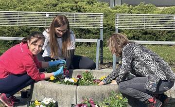 FOTO: Pozrite sa na tú nádheru. Mesto na Považí sa takto pripravilo na blížiace sa sviatky