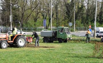 FOTO: Rozkvitnutý Trenčín