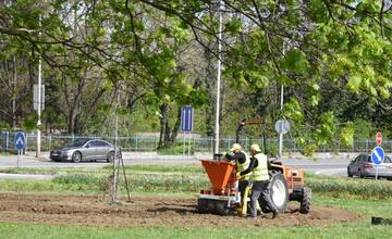 FOTO: Rozkvitnutý Trenčín
